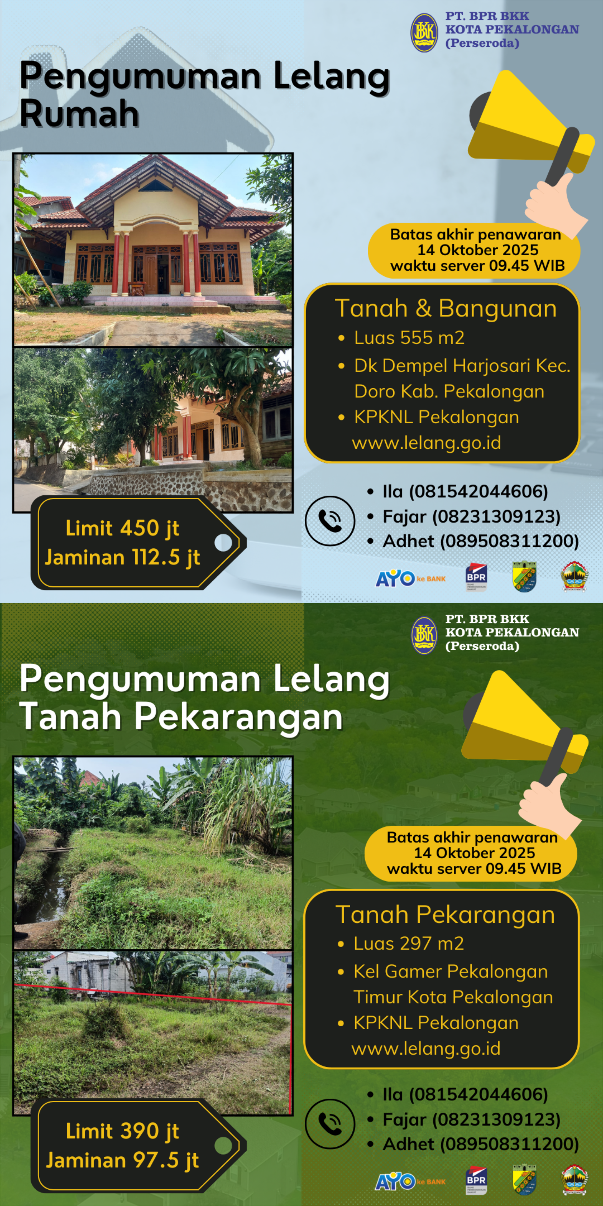 pengumuman_lelang.png
